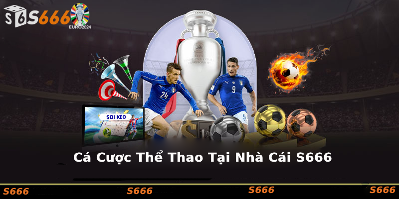 s666 Nền tảng cá cược thể thao uy tín và an toàn hàng đầu